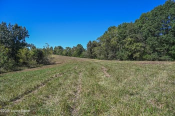 98 Namon Chesser Ln, Willisburg, KY 40078