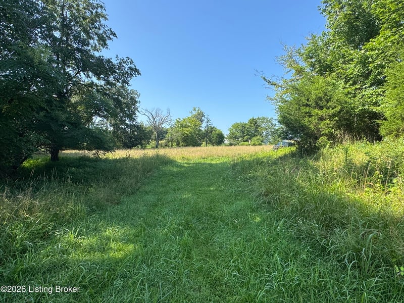 985 Hilton Mill Rd, Leitchfield, KY 42754
