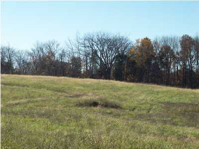 985 Mockingbird Dr, Taylorsville, KY 40071