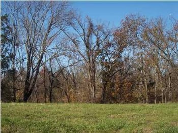 985 Mockingbird Dr, Taylorsville, KY 40071