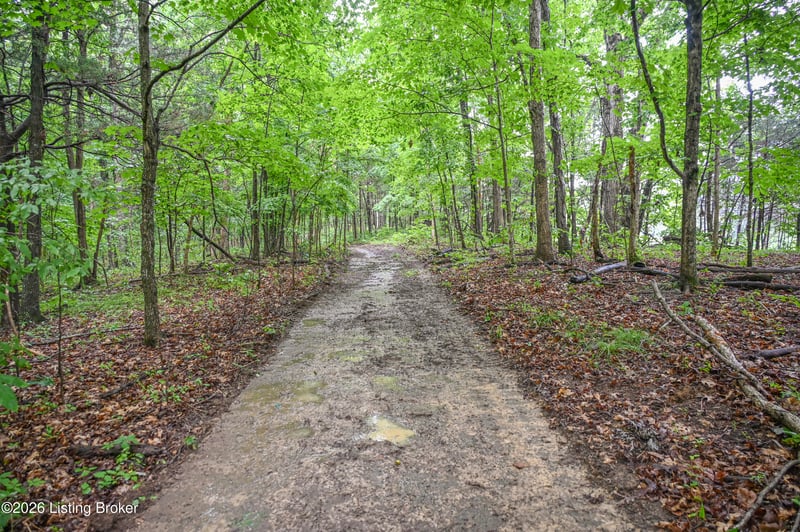 991 Beechridge Rd, Frankfort, KY 40601