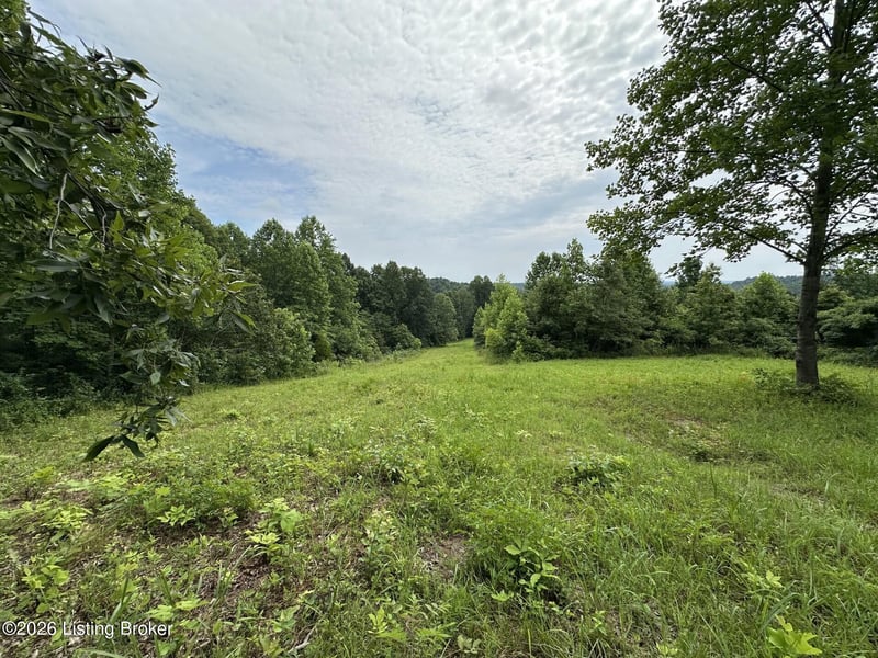998 Old Buzzard Roost Rd, Clarkson, KY 42726
