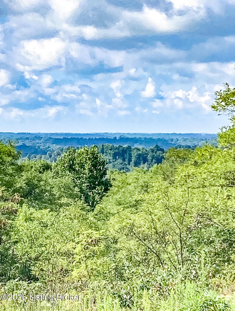 998 Old Buzzard Roost Rd, Clarkson, KY 42726