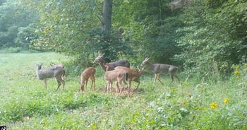 Hwy 259 N 0, Stephensport, KY 40170