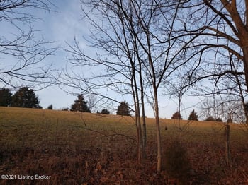 L1 Indian Creek Rd, Sanders, KY 41083