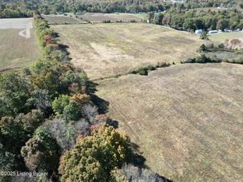 L17 1292 Panther Creek Rd, Falls Of Rough, KY 40119