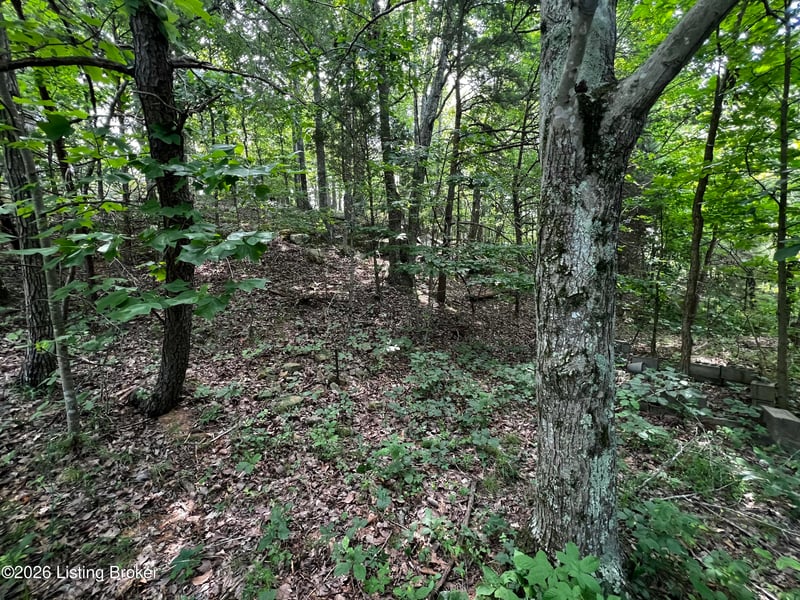L177 Sassafras Dr #1, Clarkson, KY 42726