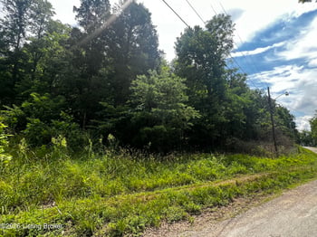 L177 Sassafras Dr #1, Clarkson, KY 42726