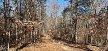 L32 Ted Logsdon, Clarkson, KY 42726