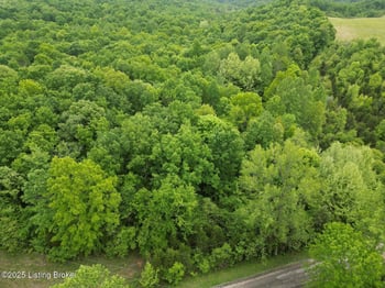 Lot 1 Duvall Rd, Caneyville, KY 42721