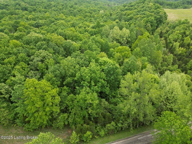 Lot 1 Duvall Rd, Caneyville, KY 42721