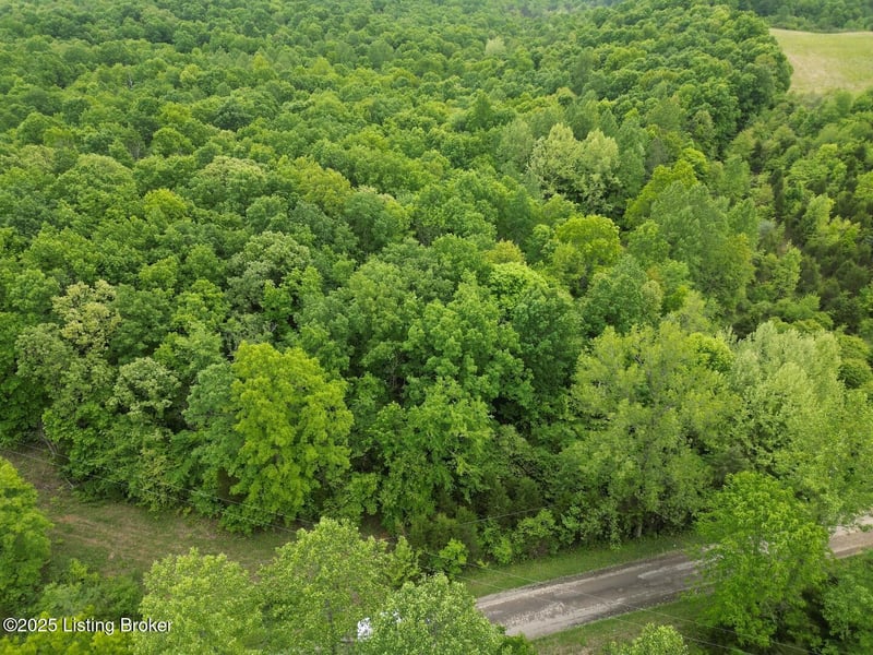 Lot 1 Duvall Rd, Caneyville, KY 42721