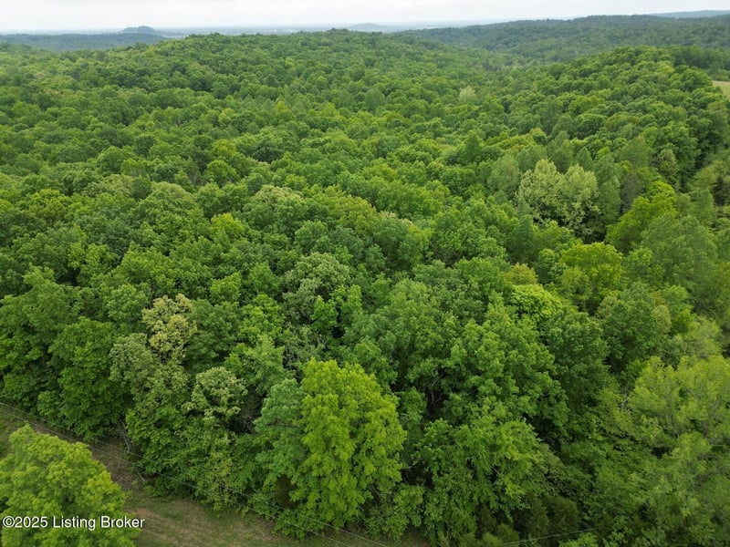 Lot 1 Duvall Rd, Caneyville, KY 42721