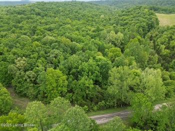 Lot 1 Duvall Rd, Caneyville, KY 42721