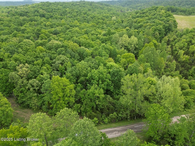 Lot 1 Duvall Rd, Caneyville, KY 42721