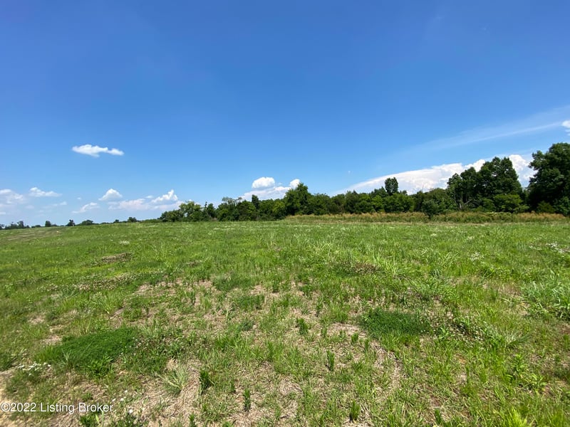 Lot 10 Cheltenham Rd, Finchville, KY 40022
