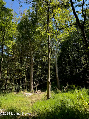 Lot 13 Rose Island Rd, Goshen, KY 40026