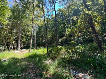 Lot 13 Rose Island Rd, Goshen, KY 40026