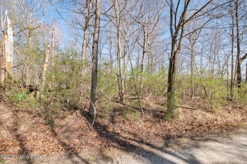 Lot 142 Pine Tree Dr, New Haven, KY 40051