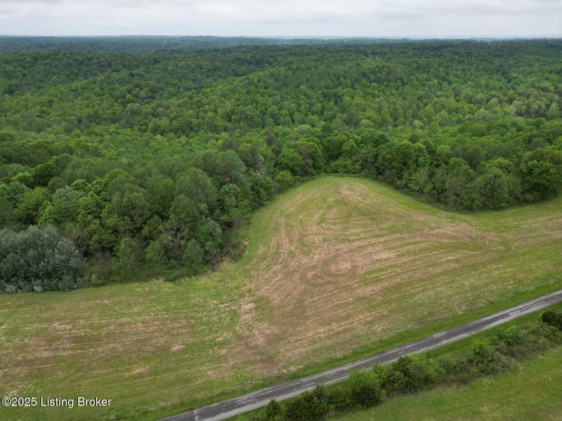 Lot 15 Duvall Rd, Caneyville, KY 42721