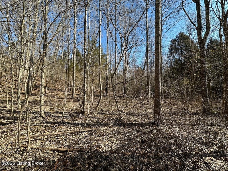 Lot 15 Duvall Rd, Caneyville, KY 42721