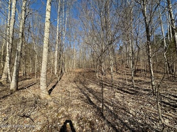 Lot 15 Duvall Rd, Caneyville, KY 42721