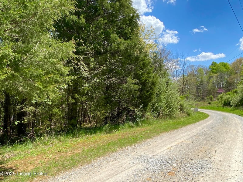 Lot 16 Eveleigh Development, Leitchfield, KY 42754
