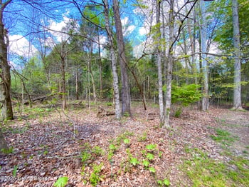 Lot 16 Eveleigh Development, Leitchfield, KY 42754
