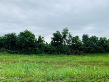 Lot 1B Camp Branch Trl, Taylorsville, KY 40071
