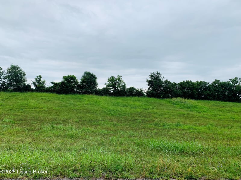 Lot 1D Camp Branch Trl, Taylorsville, KY 40071