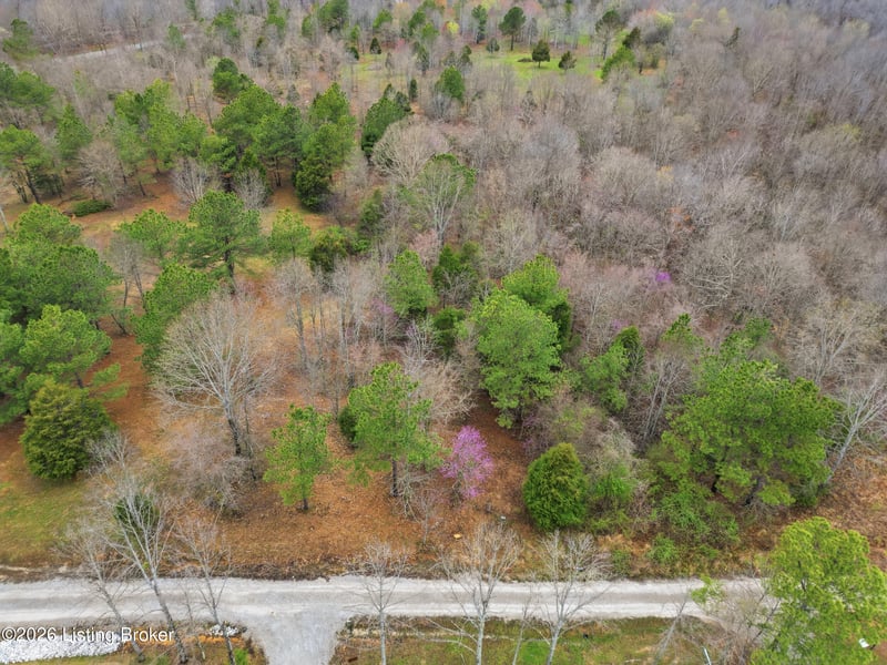 Lot 2 Pine Trl, Leitchfield, KY 42754