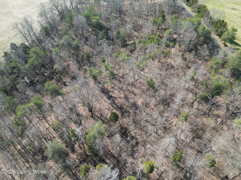 Lot 2 Shores Rd, Falls Of Rough, KY 40119