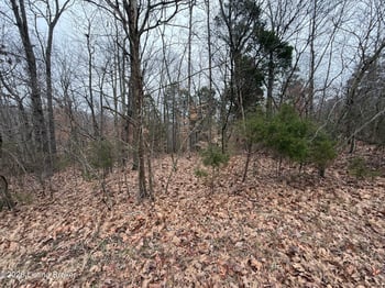 Lot 2 Shores Rd, Falls Of Rough, KY 40119