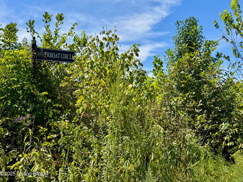 Lot 22 Riverboat Cir, Falls Of Rough, KY 40119