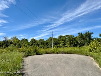 Lot 22 Riverboat Cir, Falls Of Rough, KY 40119
