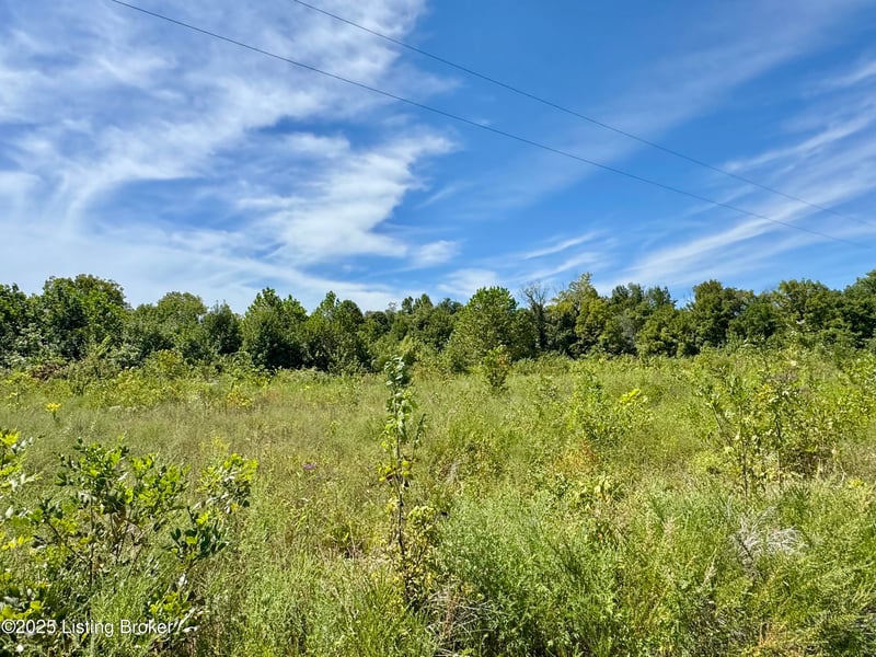 Lot 22 Riverboat Cir, Falls Of Rough, KY 40119