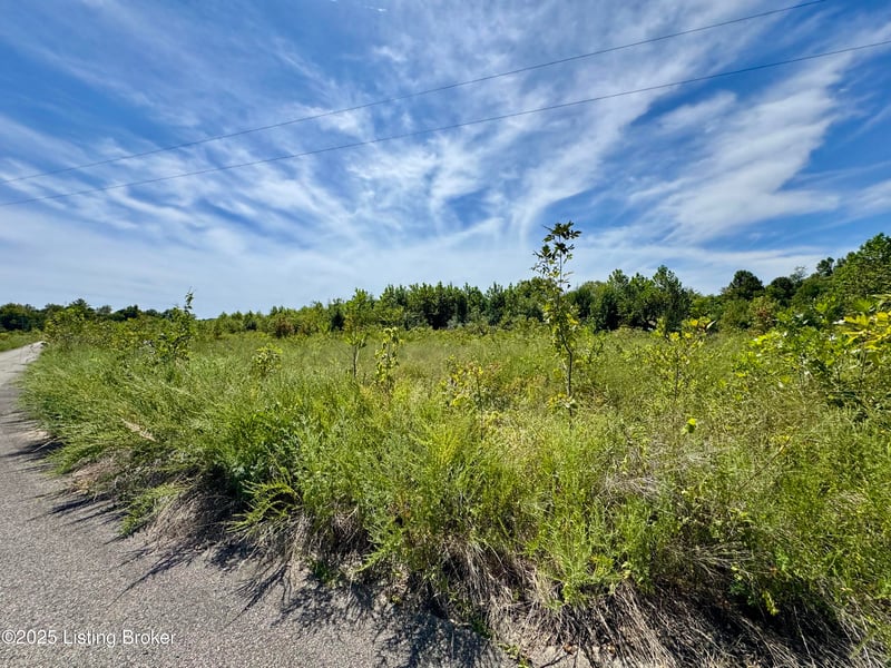 Lot 22 Riverboat Cir, Falls Of Rough, KY 40119