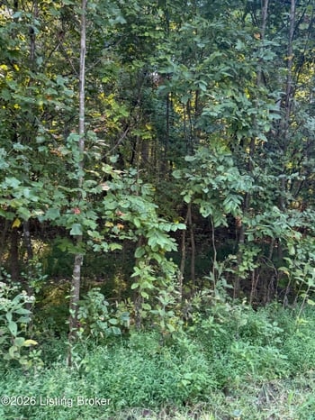 Lot 24 Rams Rn, Shepherdsville, KY 40165