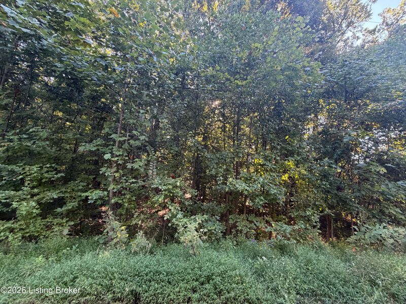 Lot 26 Rams Rn, Shepherdsville, KY 40165