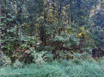 Lot 26 Rams Rn, Shepherdsville, KY 40165