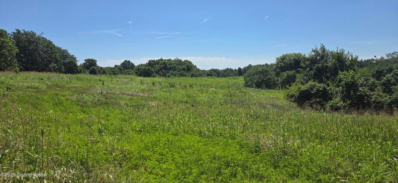 Lot 3 Old Sligo Rd Lot 3, La Grange, KY 40031