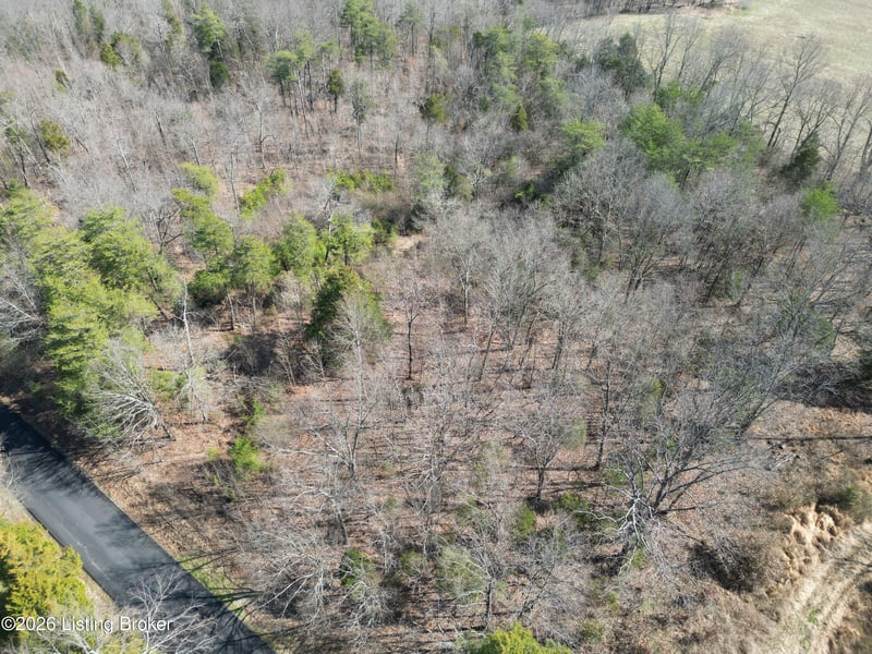 Lot 3 Shores Rd, Falls Of Rough, KY 40119