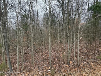 Lot 3 Shores Rd, Falls Of Rough, KY 40119