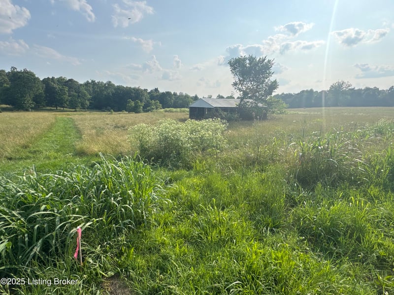 Lot 3 Wray Dr, Shepherdsville, KY 40165