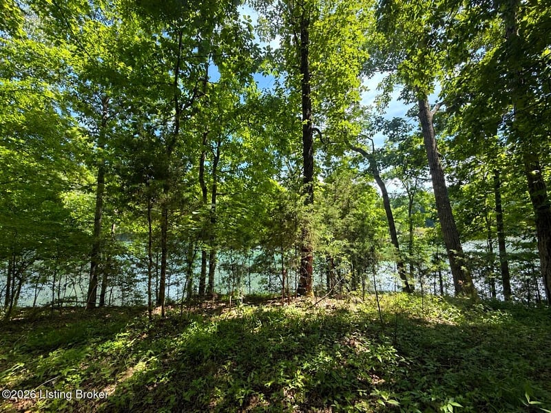 Lot 33 Hickory Grove Rd, Leitchfield, KY 42754