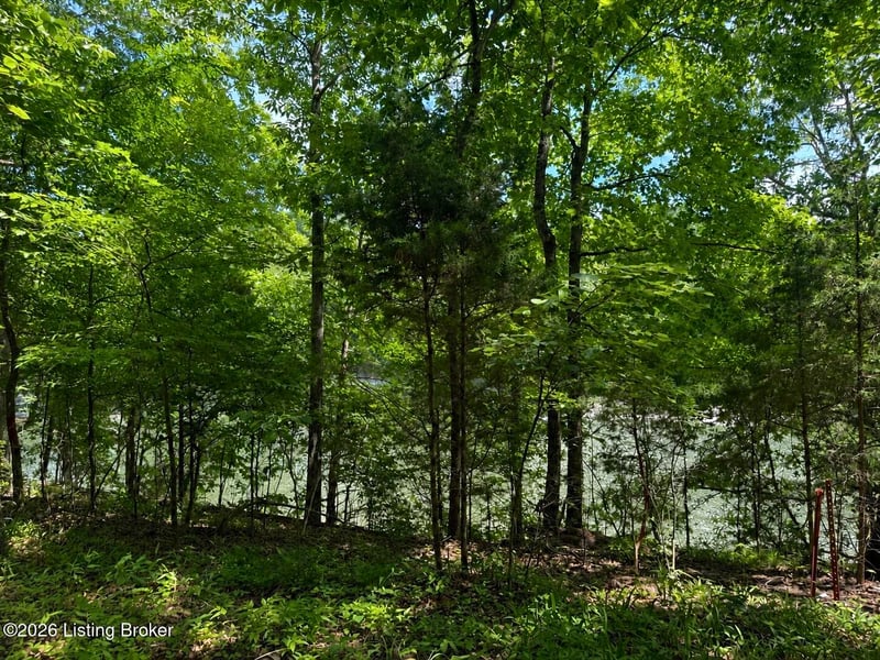 Lot 33 Hickory Grove Rd, Leitchfield, KY 42754