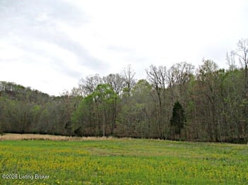 Lot 38 Sulphur Lick Rd, New Hope, KY 40052