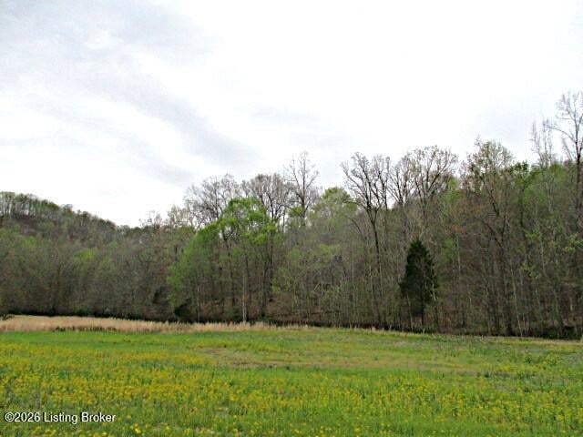 Lot 38 Sulphur Lick Rd, New Hope, KY 40052