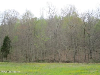 Lot 38 Sulphur Lick Rd, New Hope, KY 40052