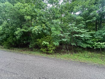 Lot 40 Red Wing Rd, Doe Valley, KY 40108